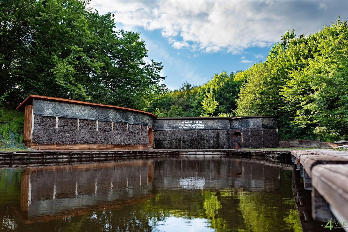 IMG_6783 căsuțele eden